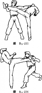 225226