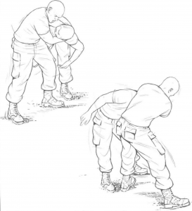 图片10