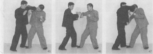 图片23