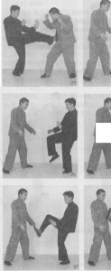 图片44