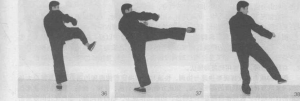 图片50