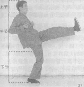 图片27