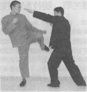 图片48
