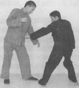 图片49