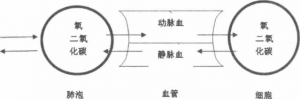 图片9