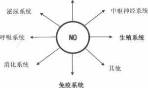 图片10