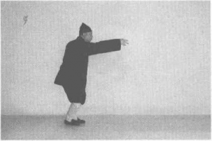 图片123