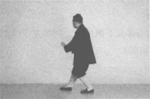 图片245