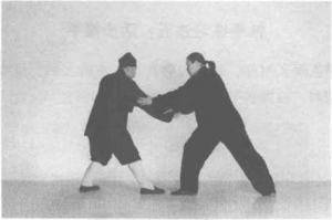 图片521
