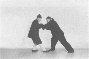 图片528