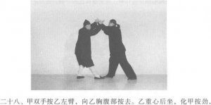 图片544