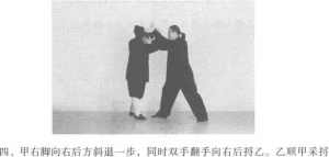图片556