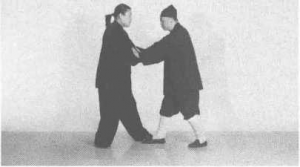 图片564