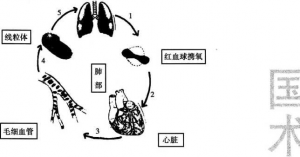 图片7