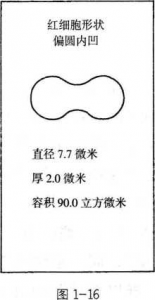 图片16