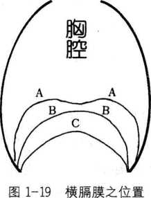 图片19