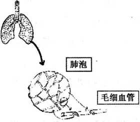 图片20