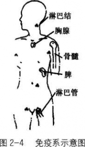 图片48