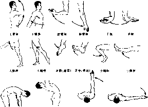 图片3