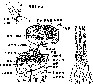 图片13