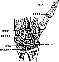 图片22