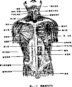 图片25
