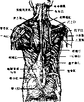 图片26