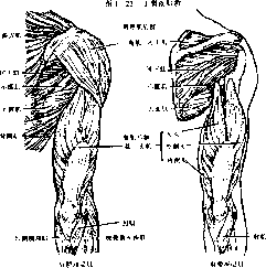 图片28