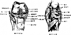 图片32