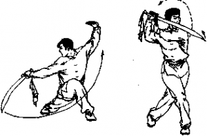 图片15