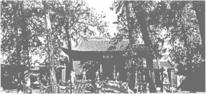 图片6