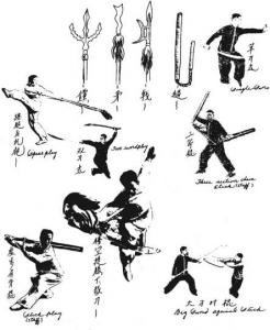 图片1