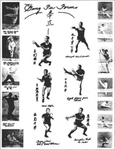 图片42