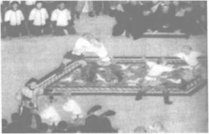 图片5