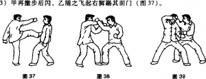 图片16
