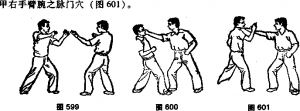 图片15