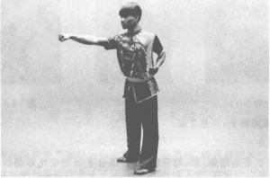 图片13