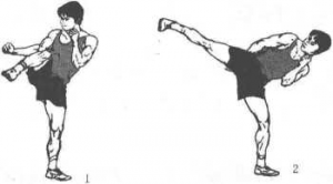 图片13