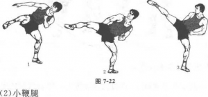 图片15