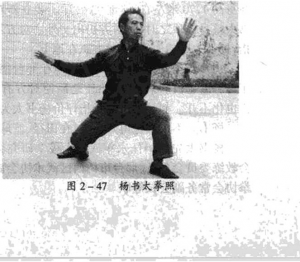杨树太拳照