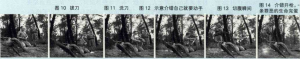 图片8