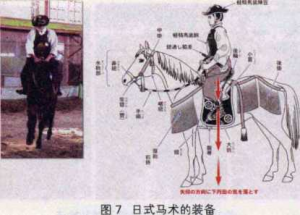 图片13