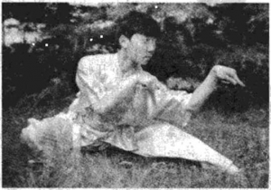 宅吉军拳照