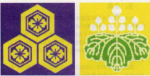 图片13