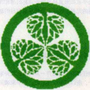 图片20