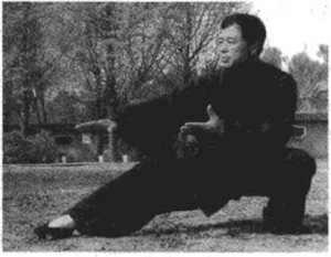 在不在拳照