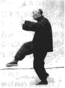 拳照