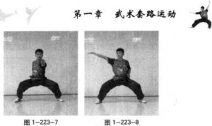 图片5