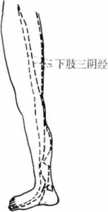 图片87